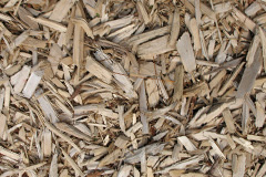 biomass boilers Rivenhall